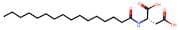 N-Palmitoyl-L-aspartate