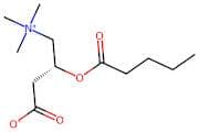 Valerylcarnitine