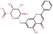 Chrysin-7-O-glucuronide