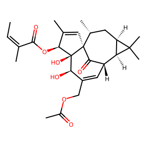 20-O-Acetylingenol-3-angelate