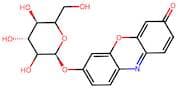 resorufin galactopyranoside