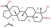 23-Hydroxybetulinic acid