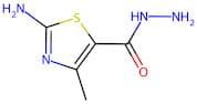 2-amino-4-methyl-1,3-thiazole-5-carbohydrazide