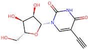 5-Ethynyluridine