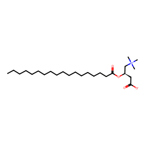 Stearoylcarnitine