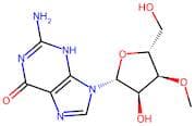 3’-O-Methyl guanosine