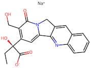 Sodium Camptothecin