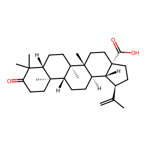 Betulonic acid