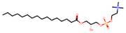 1-Palmitoyl-sn-glycero-3-phosphocholine
