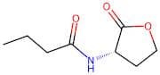 N-Butanoyl-L-homoserine lactone