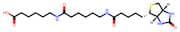 Biotin-C5-amino-C5-amino