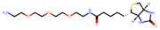 Amine-PEG3-Biotin