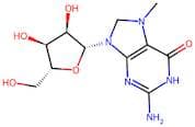 7-Methylguanosine