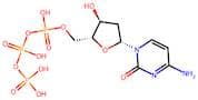 Deoxycytidine triphosphate