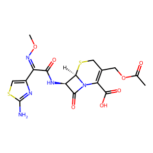 Cefotaxime