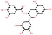 (-)-Epigallocatechin Gallate