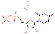 Uridine-5'-diphosphate disodium salt