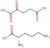 Ornithine-α-ketoglutarate