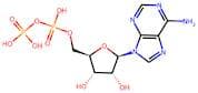 Adenosine 5'-diphosphate