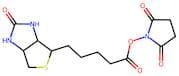 Biotin NHS