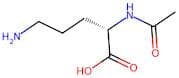N-Acetylornithine