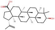 Betulinic acid