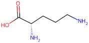 L-Ornithine