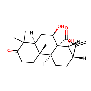 Glaucocalyxin A