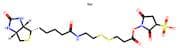 Sulfo-NHS-SS-Biotin sodium