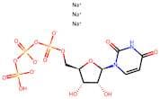 Uridine triphosphate trisodium salt