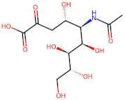 N-Acetylneuraminic acid