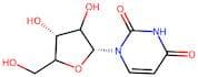 Uridine
