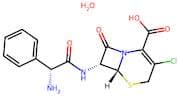 Cefaclor monohydrate