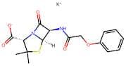 Penicillin V Potassium