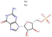 5'-Guanylic acid disodium salt