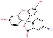 5-Aminofluorescein