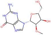 2’-OMe-Guanosine