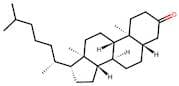5α-Cholestan-3-one
