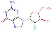 2′-Deoxy-2′-fluoroguanosine