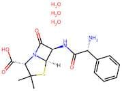 Ampicillin Trihydrate