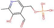Pyridoxal 5'-phosphate monohydrate