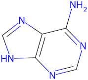 Adenine