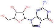 Guanosine