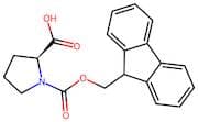 Fmoc-L-Proline, 10mM (in DMSO)