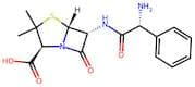 Ampicillin