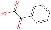 Phenylglyoxylic acid, 10mM (in DMSO)