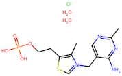 Thiamine monophosphate chloride (dihydrate)