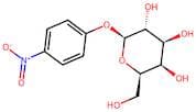 4-Nitrophenyl β-D-Galactopyranoside