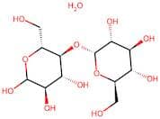 Maltose monohydrate