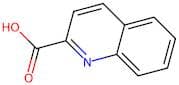 Quinoline-2-carboxylic acid, 10mM (in DMSO)